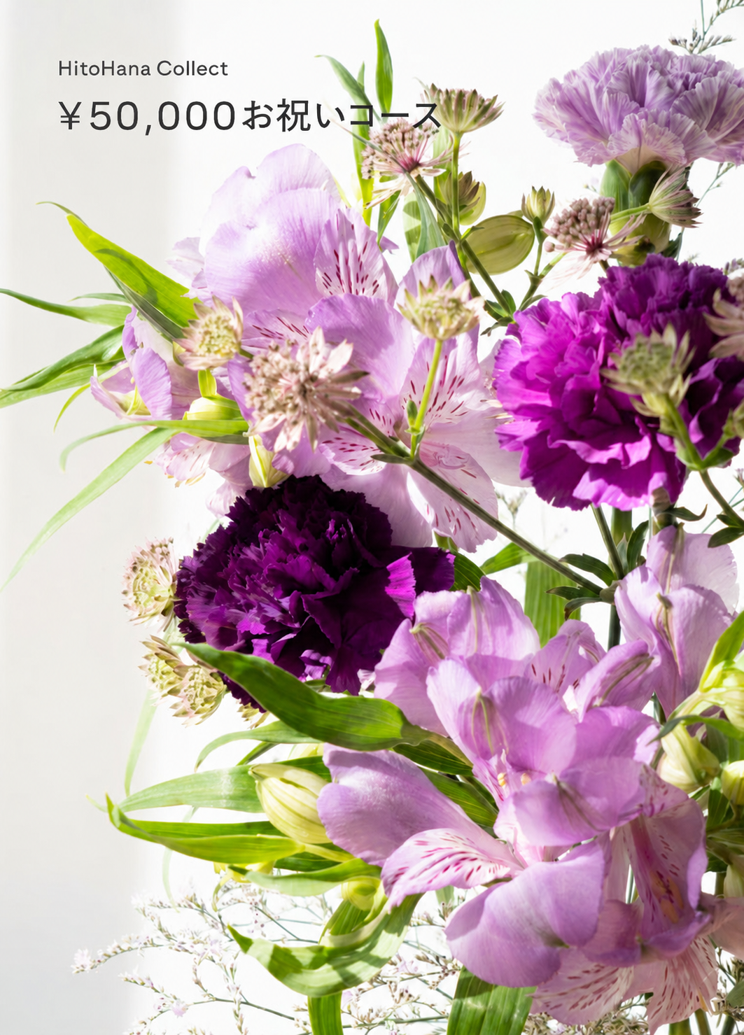 株式会社大洋様 移転お祝い 50,000円コース