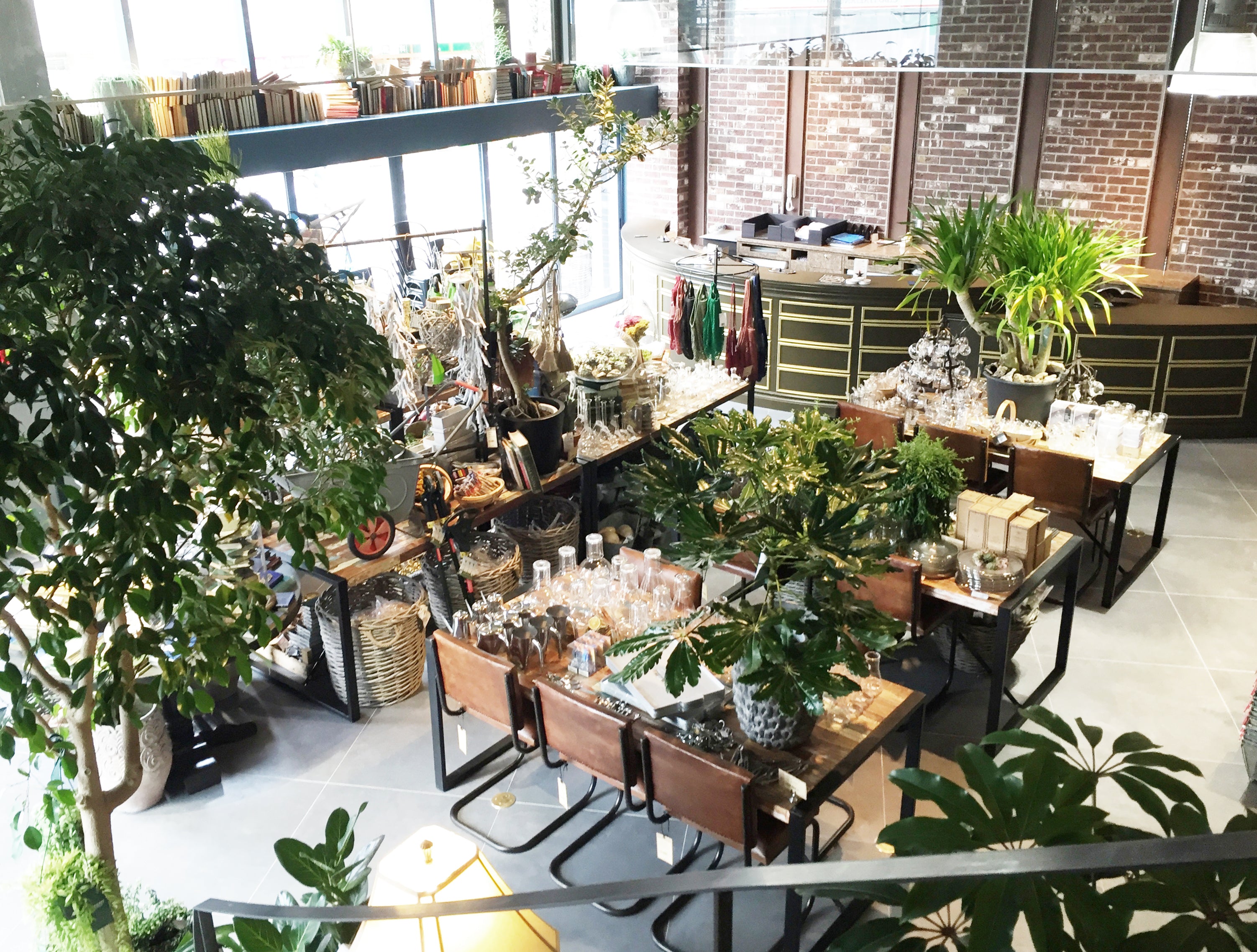 レンタルグリーン｜HitoHana（ひとはな） – HitoHana Collect