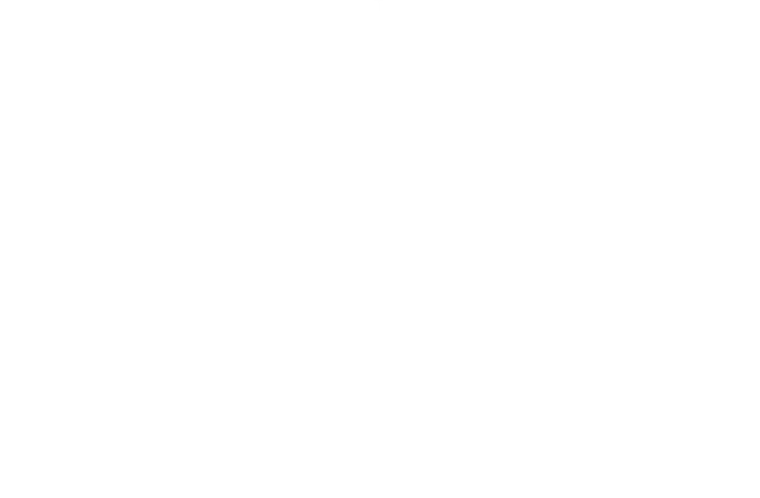 Marunouchi Flower Relay